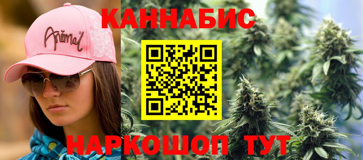 Шишки марихуана гибрид Беслан